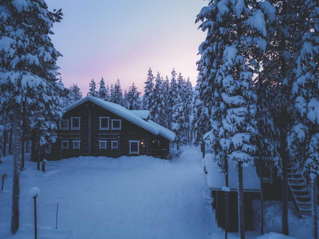 Villa ArcticFox Levi photo 1