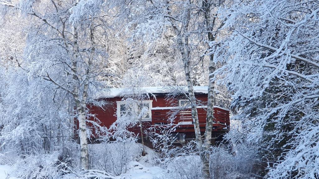 Vikinggård Cottages photo 4