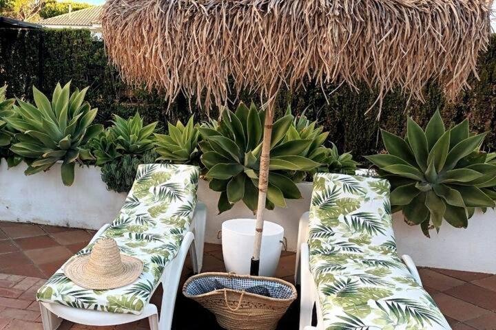 casita en la playa photo 1