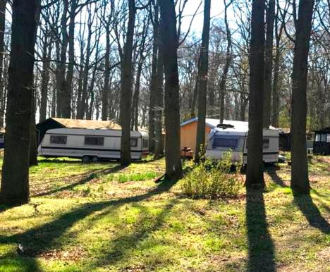 WOMO STELLPLATZ Wald & Sand DIREKT am STRAND photo 4