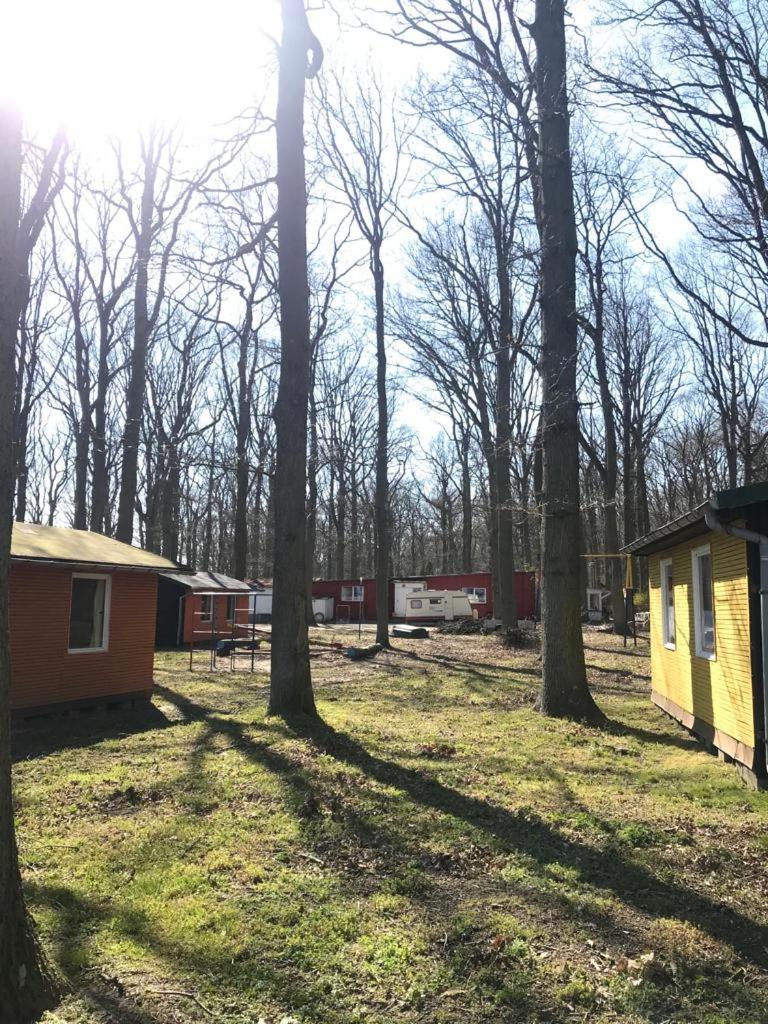 WOMO STELLPLATZ Wald & Sand DIREKT am STRAND photo 1