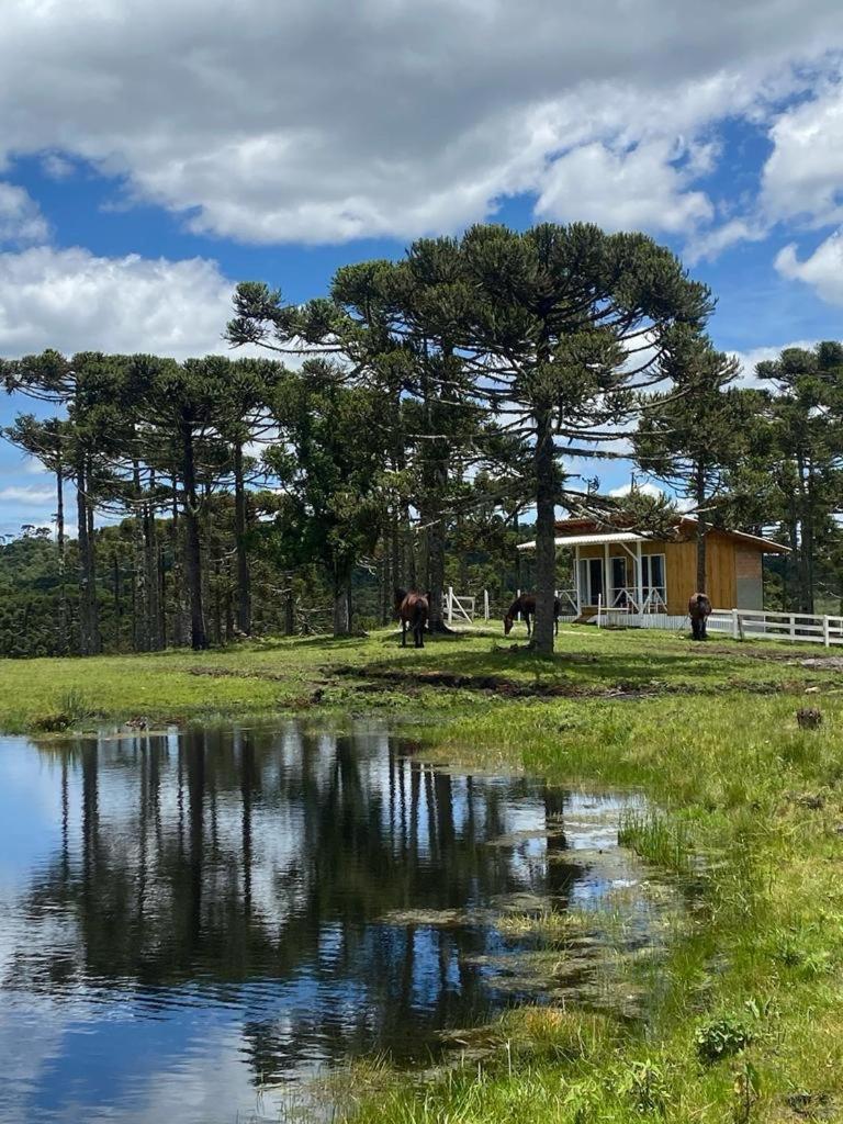 Casa e cabana de campo Fazenda Borba photo 4