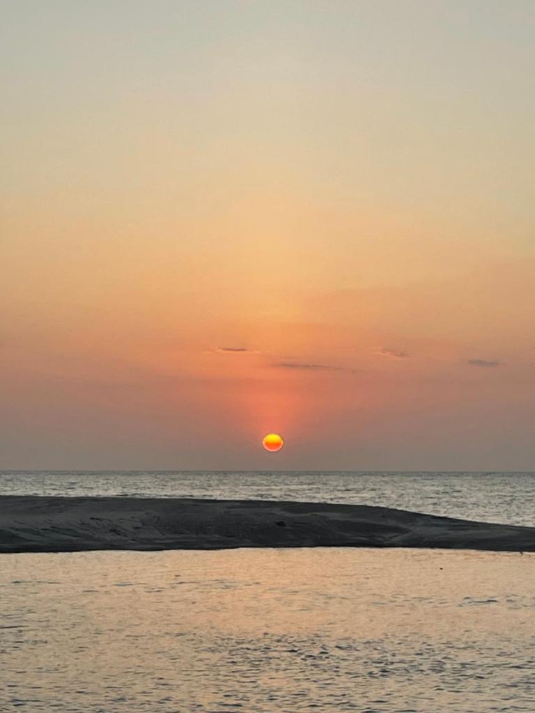 San Carlos Surf Resort & Eco Lodge photo 3