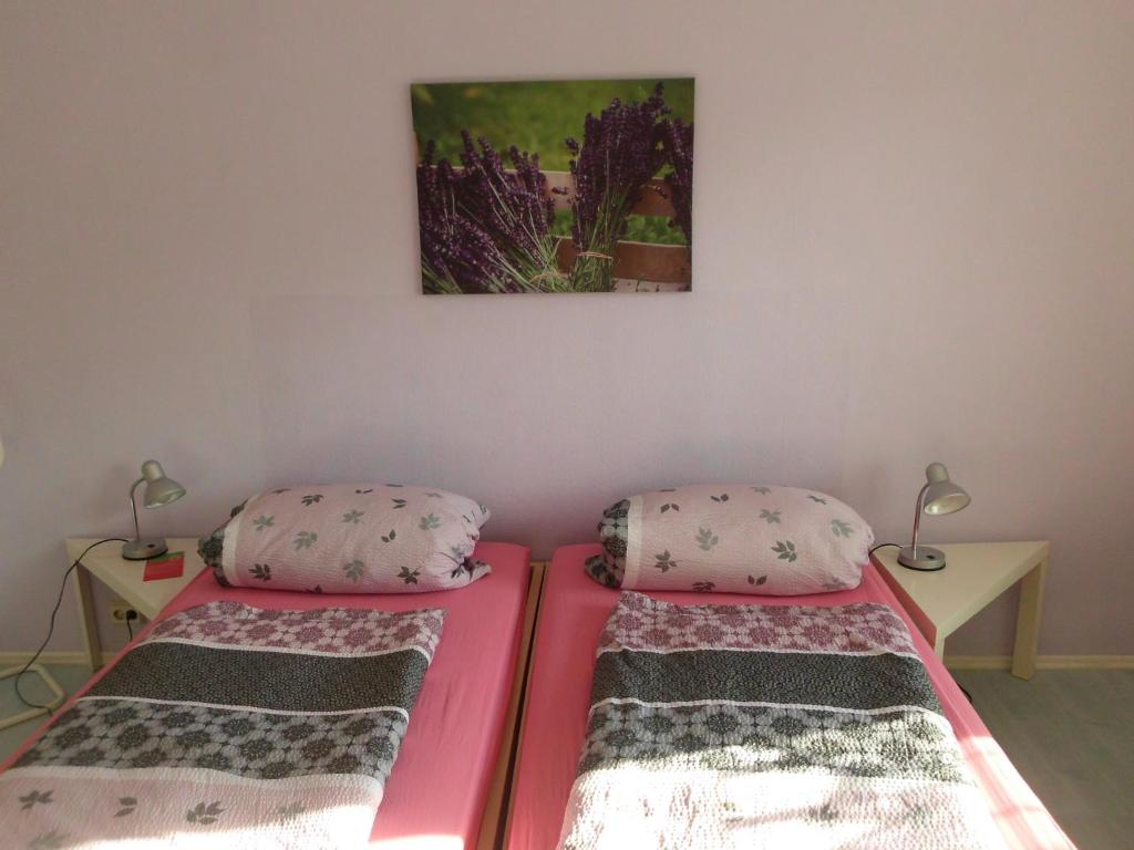 Pension Sonnenschein photo 3