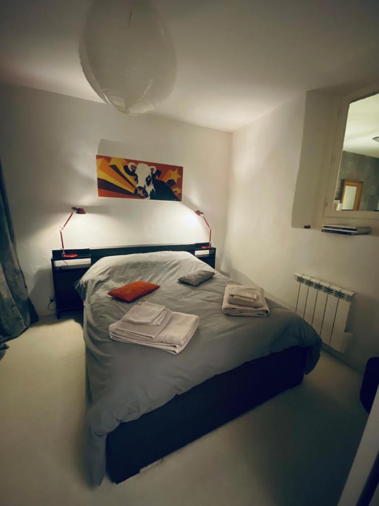 Appartement - Bonlieu - Annecy vieille ville photo 3