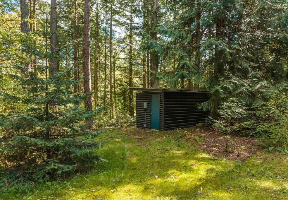 Guemes Island Road Modern Home photo 4