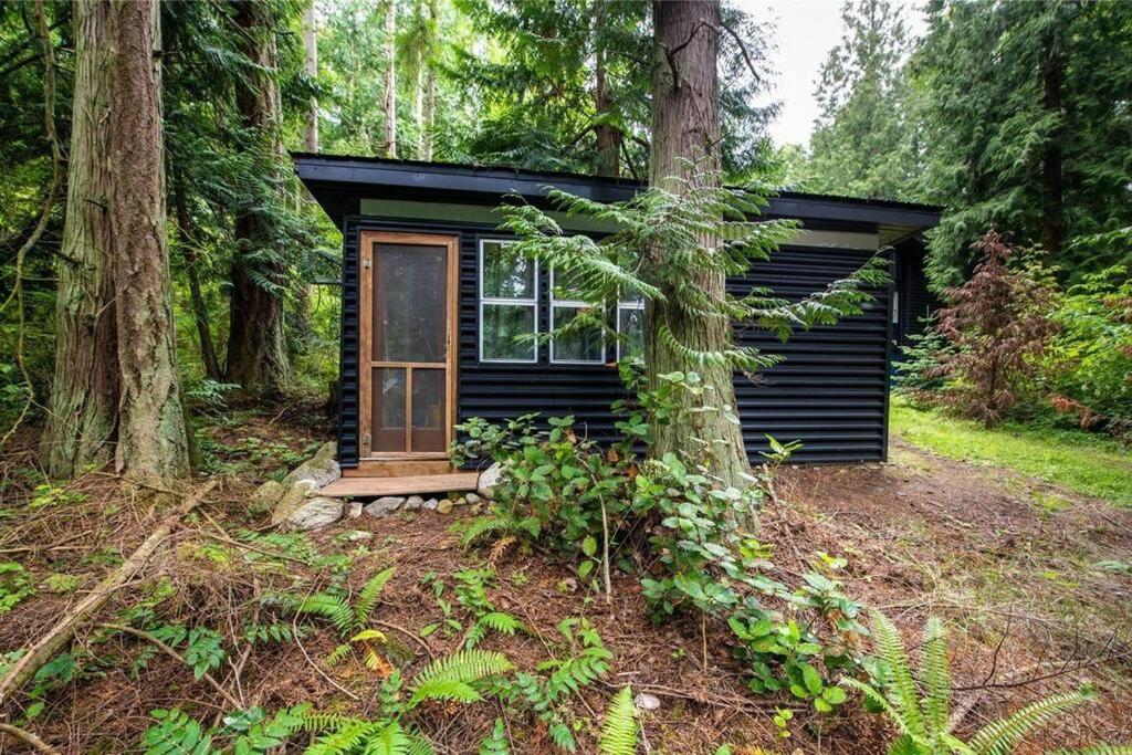 Guemes Island Road Modern Home photo 3