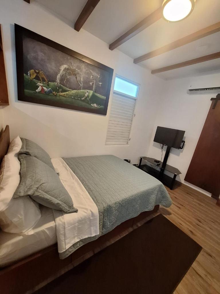 Villa Coral photo 4