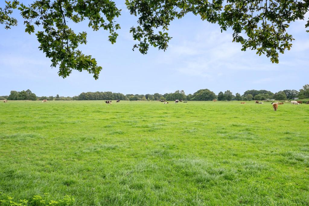 De Kruidenhoeve in het Reestdal photo 2