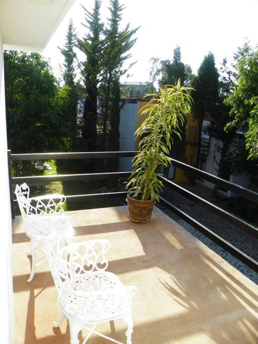 Casa Fresnos photo 2