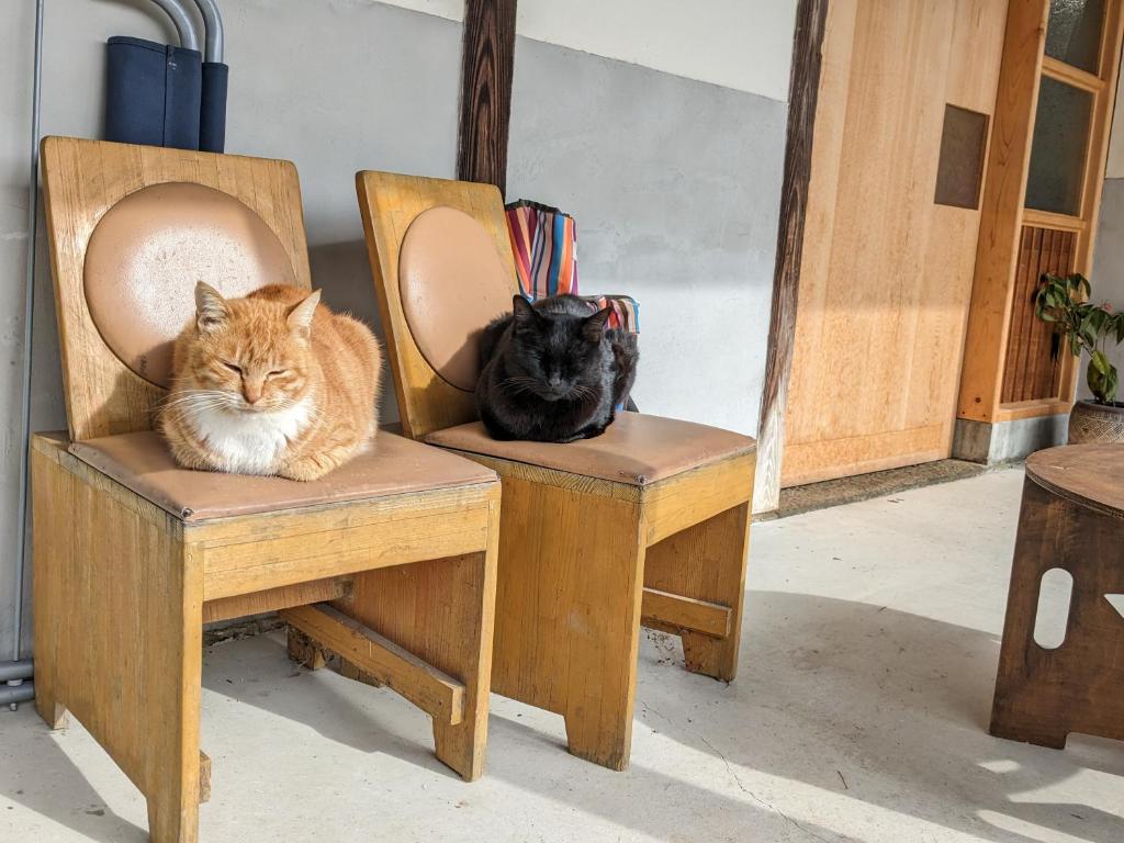 猫と図書館のある宿 草地家 Kusachike photo 3