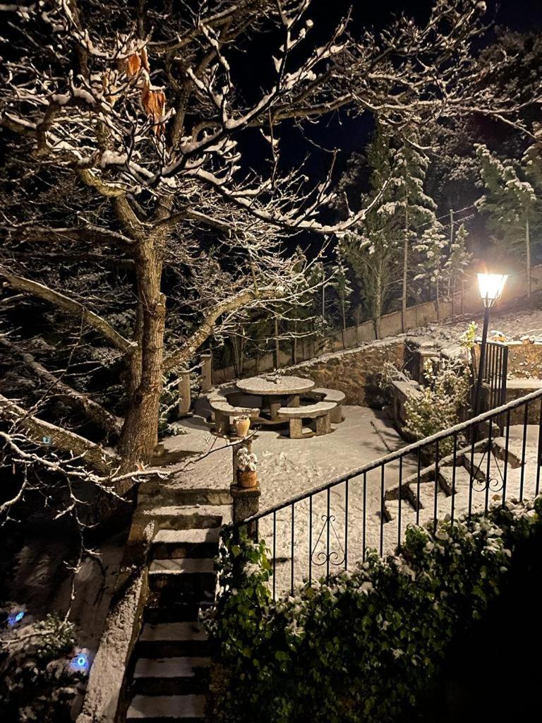 Estrella de nieve photo 3