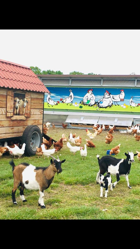 Weidelandfarm am Riebener See photo 2