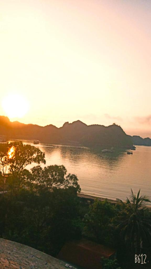 cat ba new city hostel