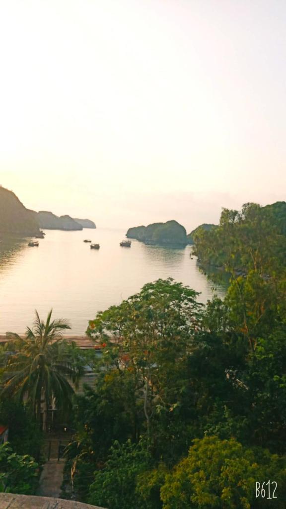 cat ba new city hostel