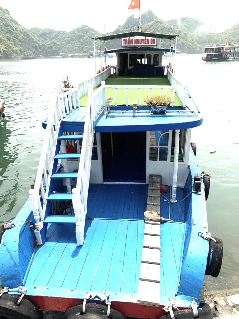 cat ba new city hostel