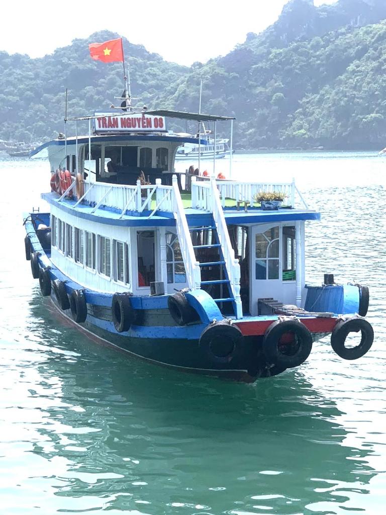 cat ba new city hostel