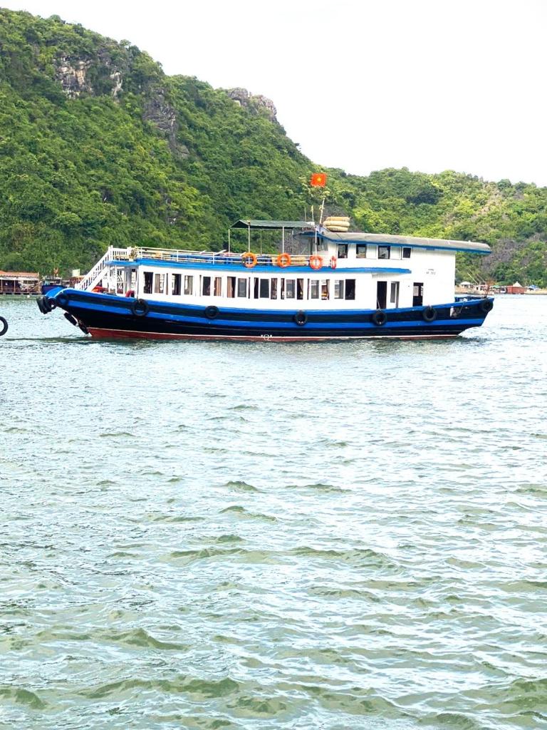 cat ba new city hostel