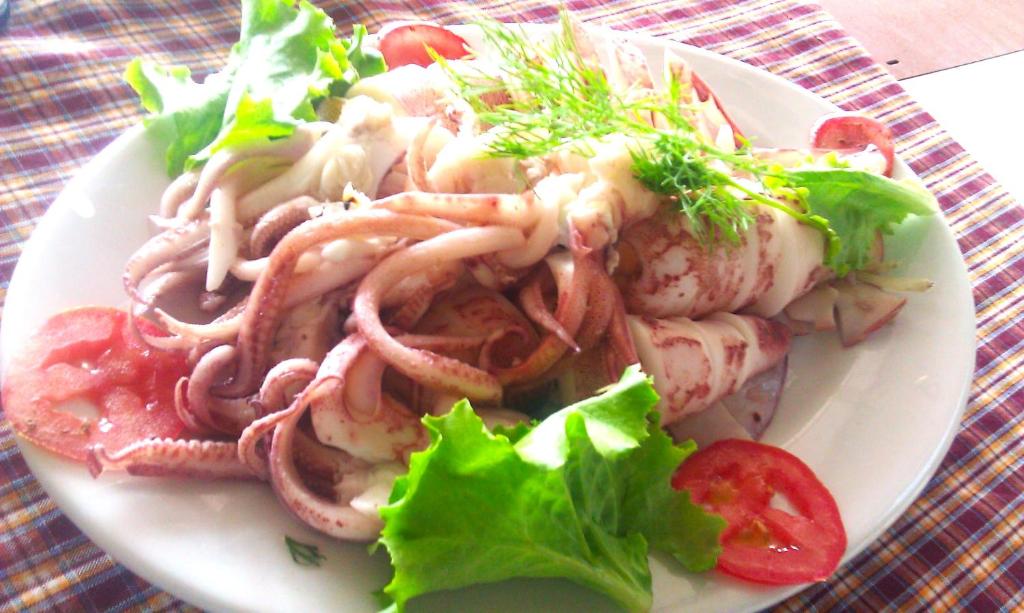 cat ba new city hostel