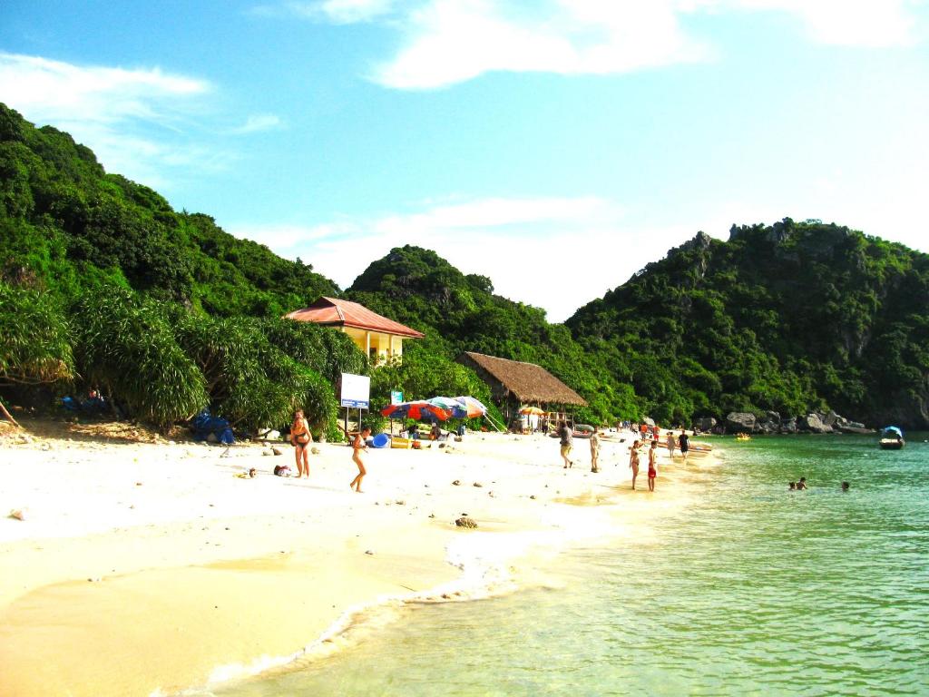 cat ba new city hostel