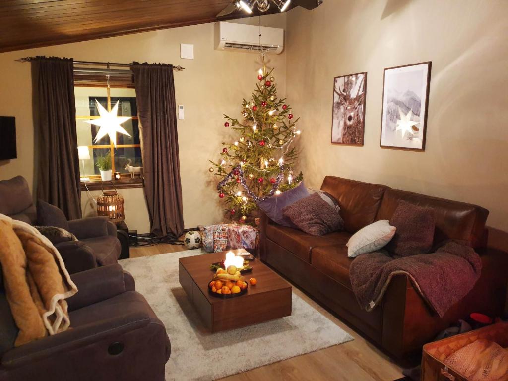 Cozy cottage in Vemdalen close to the ski slopes photo 4