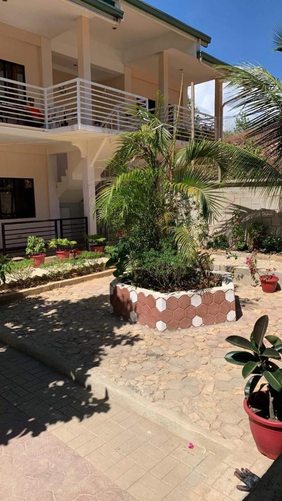 Flores Garden Hotel photo 3