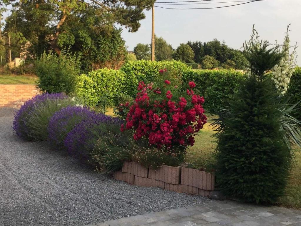 Gîte Sur puremont photo 2