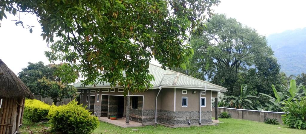 Rwenzori Base camp tour Holiday Inn photo 2