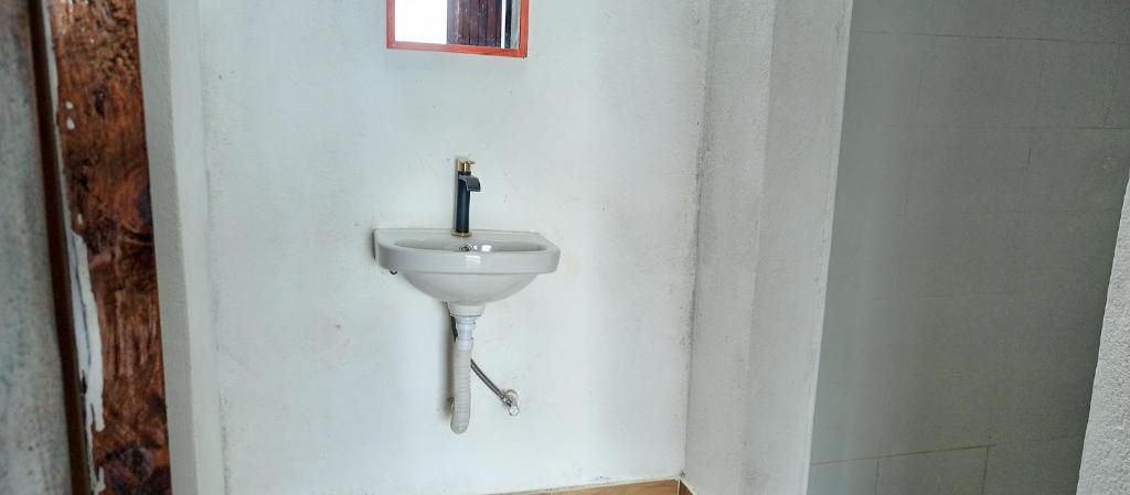 Ruhija Gorilla Guest House photo 4