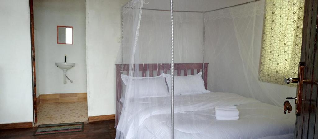 Ruhija Gorilla Guest House photo 2