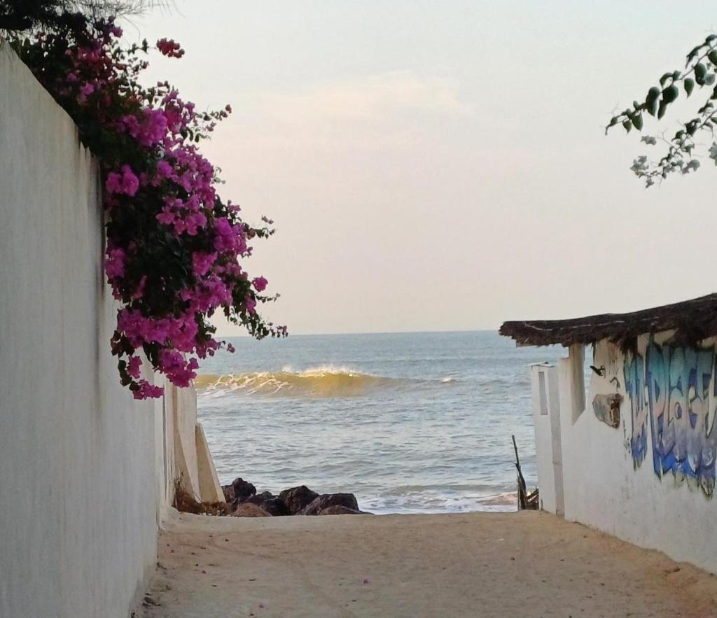 Villa YEMAYA photo 2