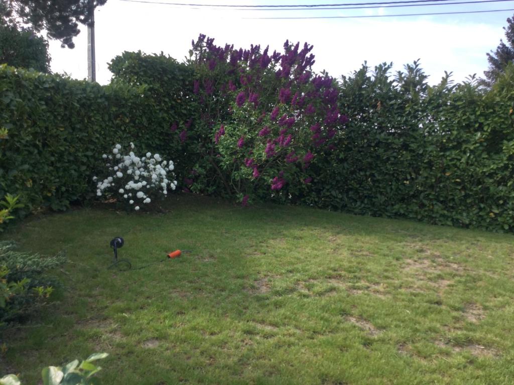 Gîte Sur puremont photo 3