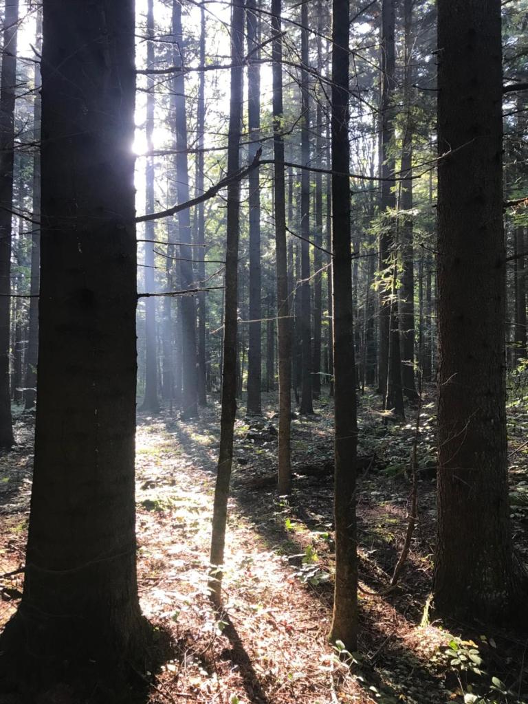 Zakątek photo 2