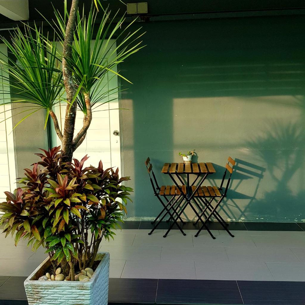 CassaKaseh Guest House photo 1