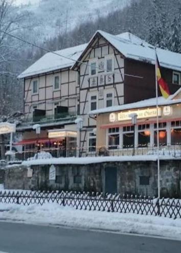 Harz Hotel Waldhaus photo 2