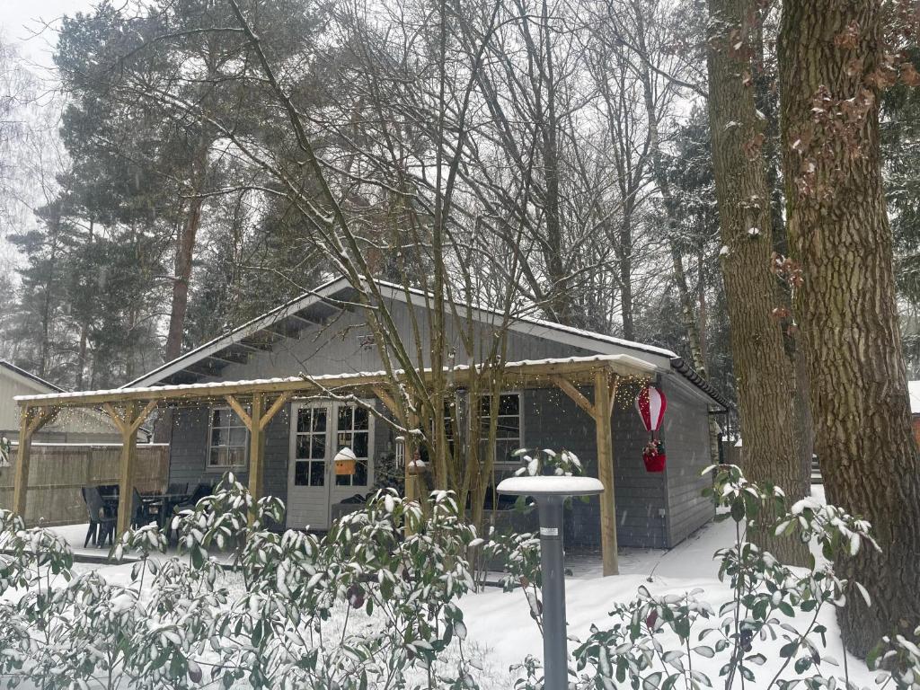 Chalet Sint-Hubertus Du Bois photo 4