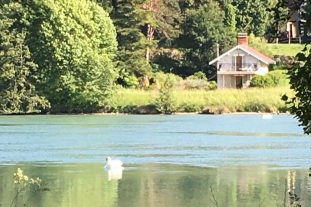Petit paradis au bord du Rhône