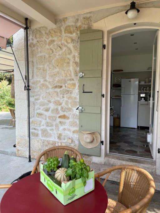 Petit paradis au bord du Rhône photo 4