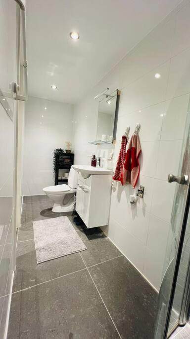 Newly built amazing apartment photo 4