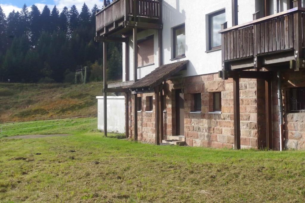 Natur pur im Nationalpark Schwarzwald