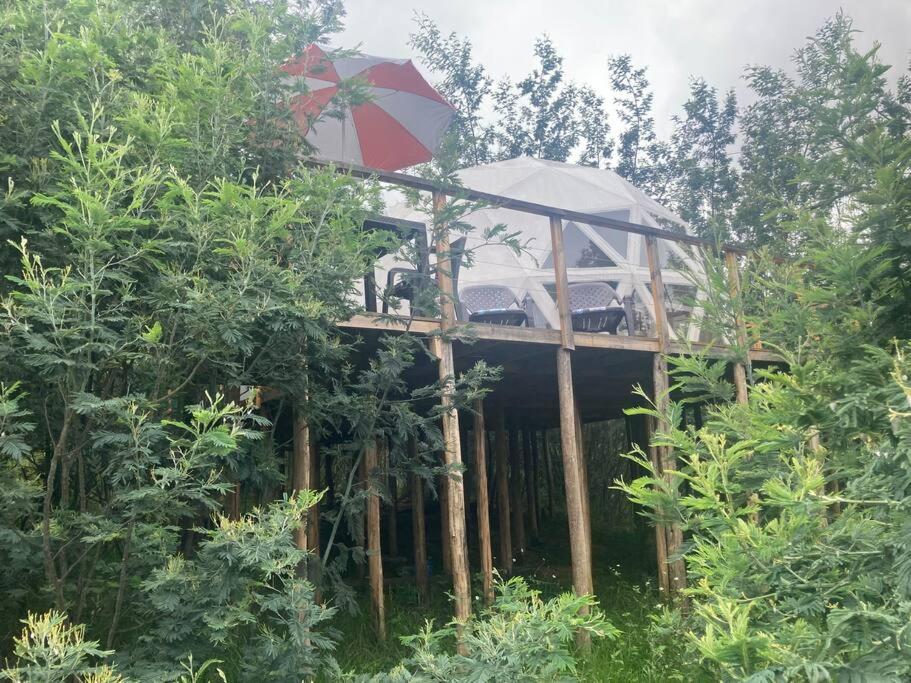 Glamping vista lago Guatavita photo 2
