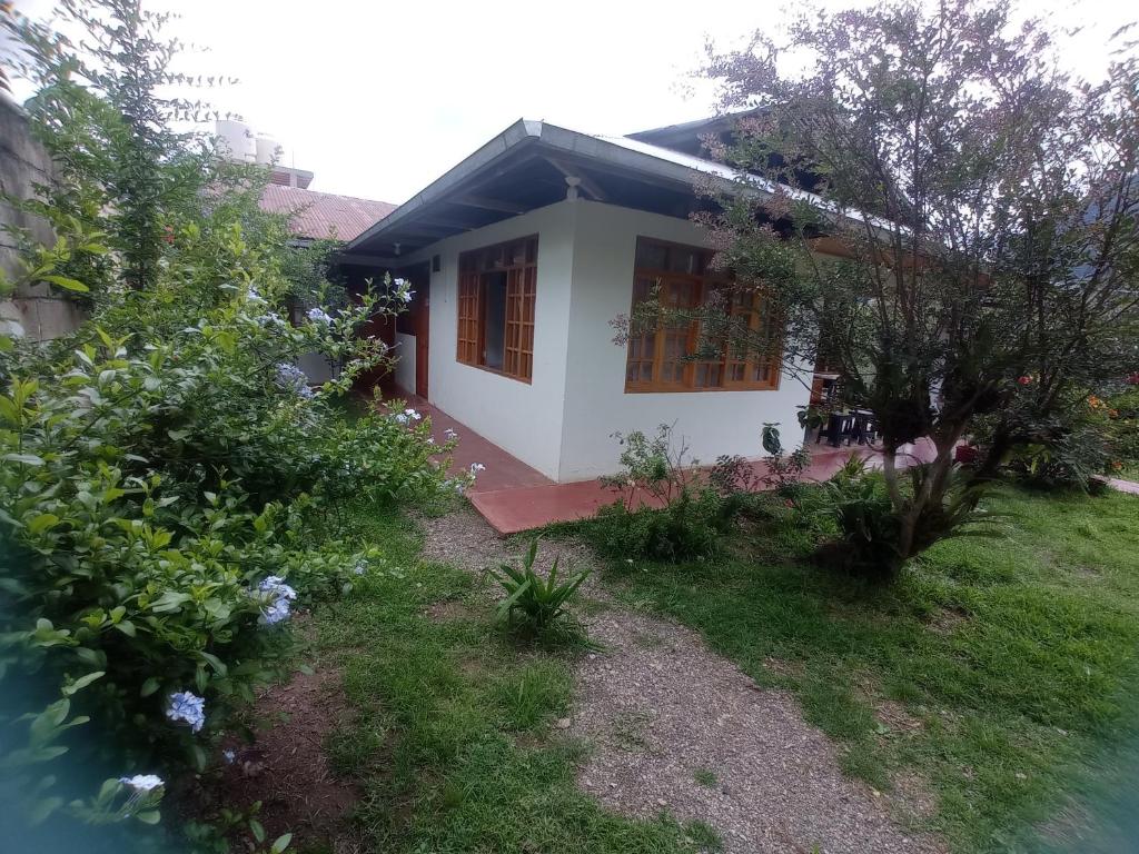 Hospedaje Pinky Lodge photo 3
