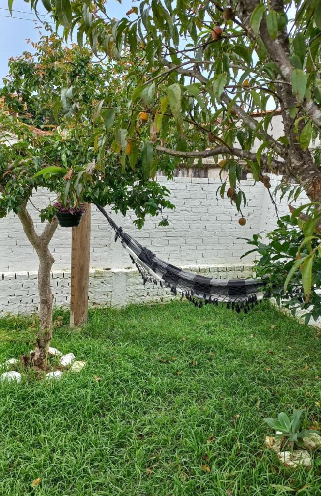 Casinha Verde photo 1