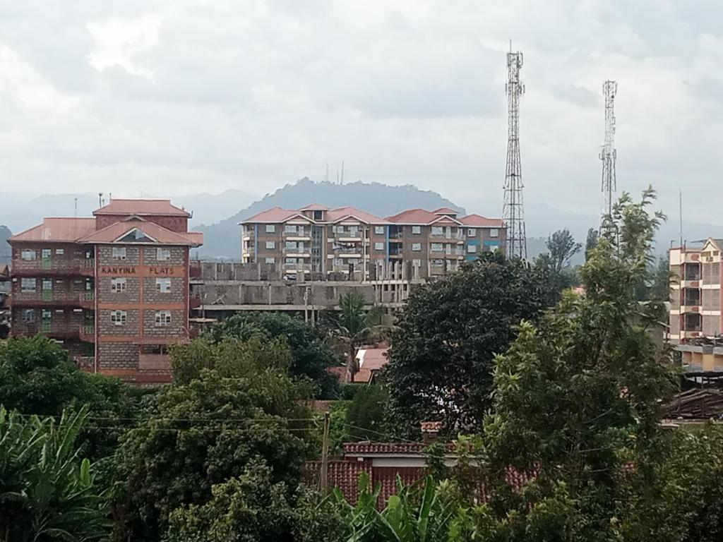 MT. KENYA PALACE photo 2