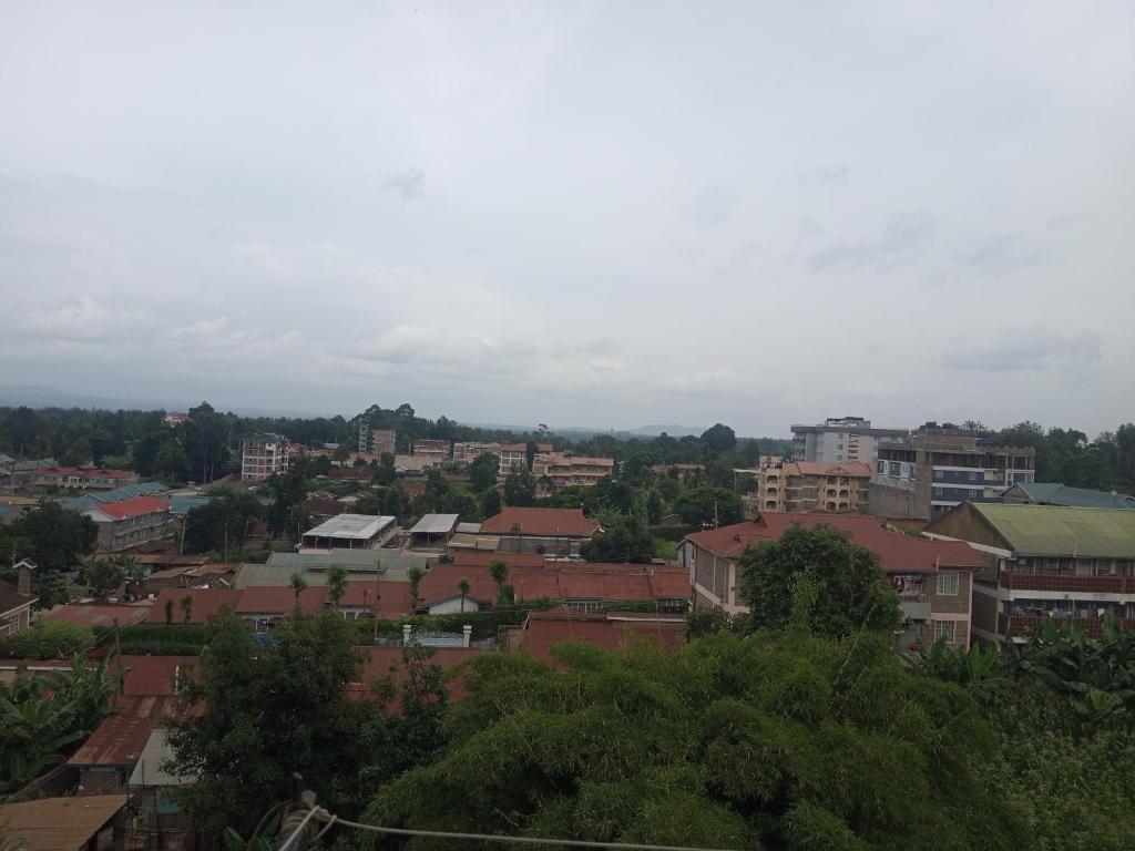MT. KENYA PALACE photo 4
