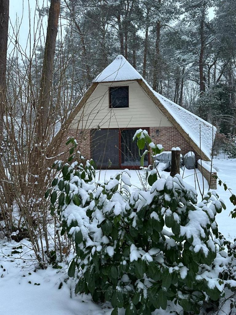 Kom tot rust midden de natuur! Top Locatie! Top Deal!! photo 3