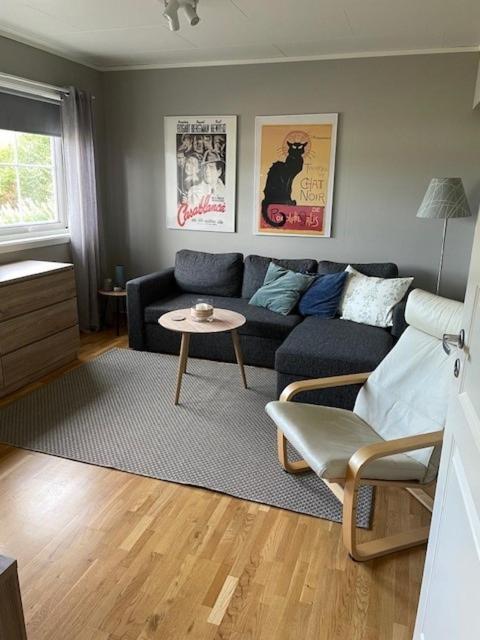 Trivelig leilighet ved inngangen til Senja