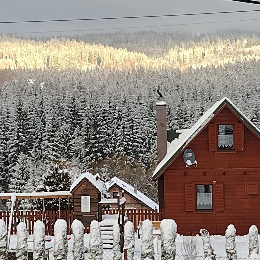 Domki Krótki Szpic photo 2