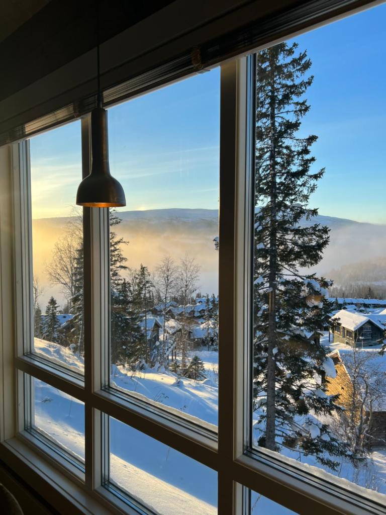 Åre Valley Lodges - Björnbergshyllan 9B photo 3