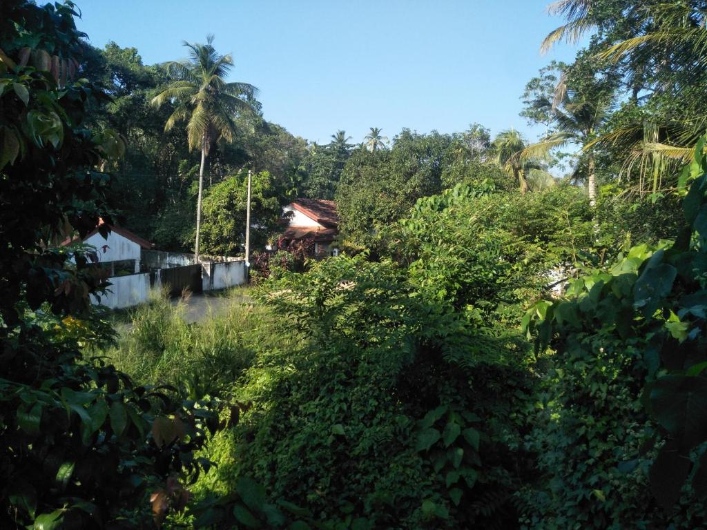 Airport home stay photo 3